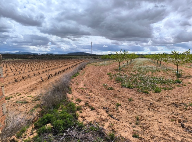 Land - Wiederverkauf - Pinoso - Pinoso Centro