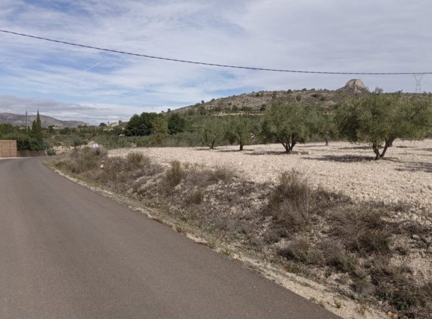 Land - Wiederverkauf - Salinas - Salinas Centro