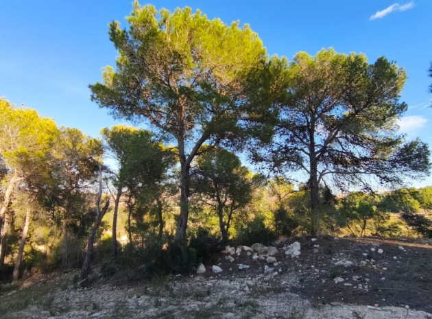 Land - Wiederverkauf - Teulada - Teulada Centro