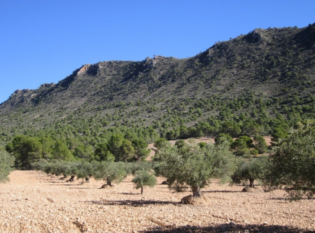 Land - Wiederverkauf - Yecla - Yecla Centro