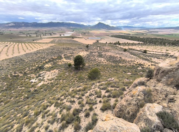 Land - Wiederverkauf - Yecla - Yecla Centro