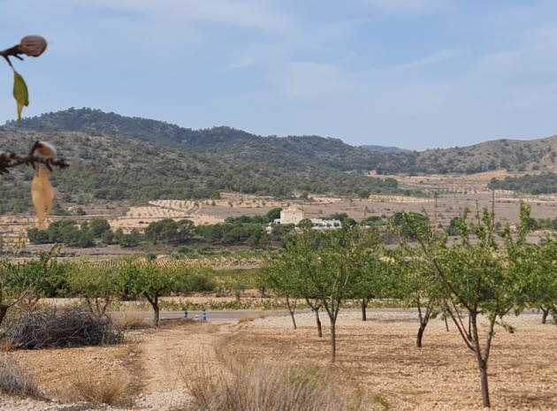 Landa - Återförsäljning - Algueña - Algueña