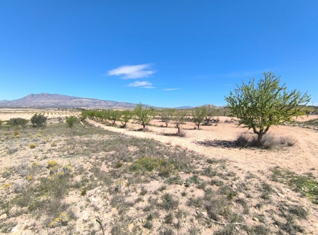 Landa - Återförsäljning - Jumilla - Jumilla Centro
