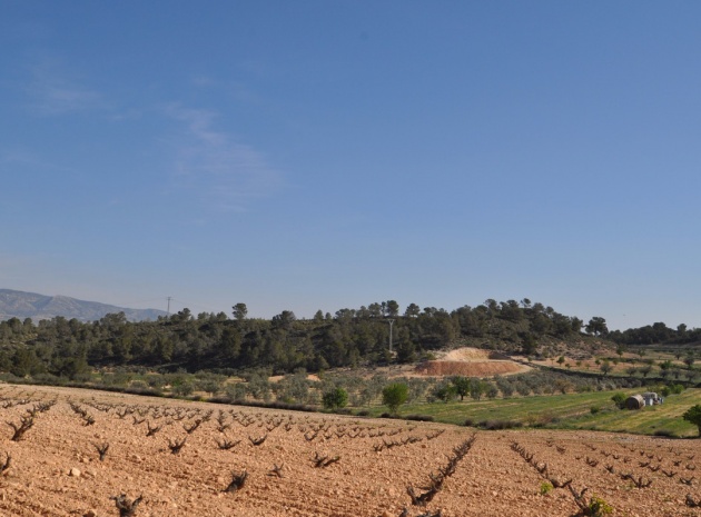 Landa - Återförsäljning - Jumilla - La Zarza