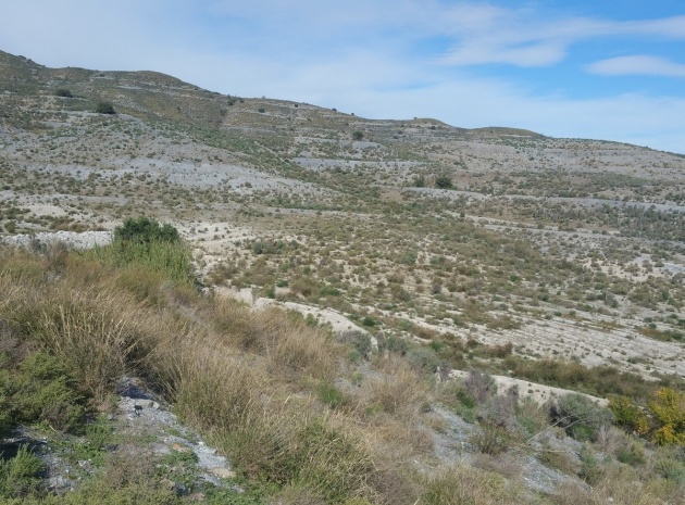 Landa - Återförsäljning - Lorca - Lorca Centro