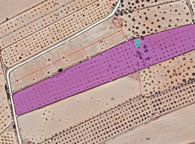 Landa - Återförsäljning - Pinoso - Pinoso Centro