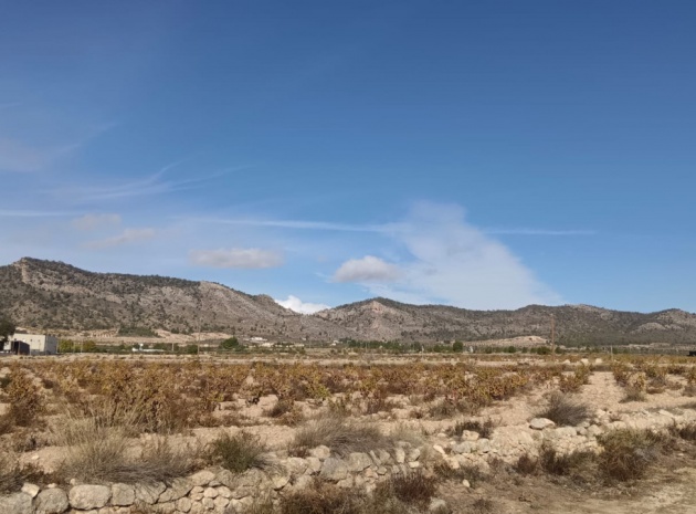 Landa - Återförsäljning - Salinas - Salinas Centro