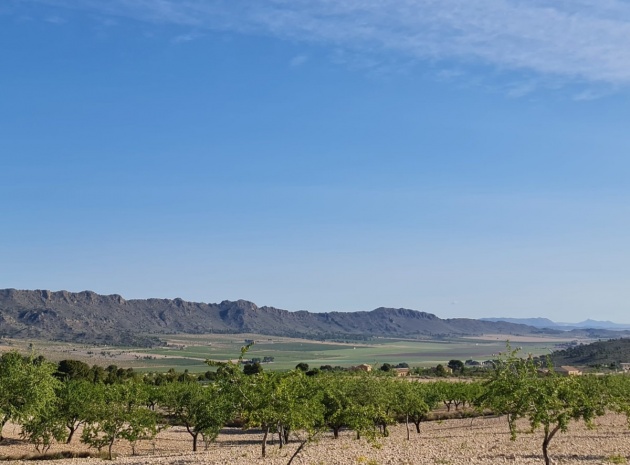 Landa - Återförsäljning - Yecla - Raspay