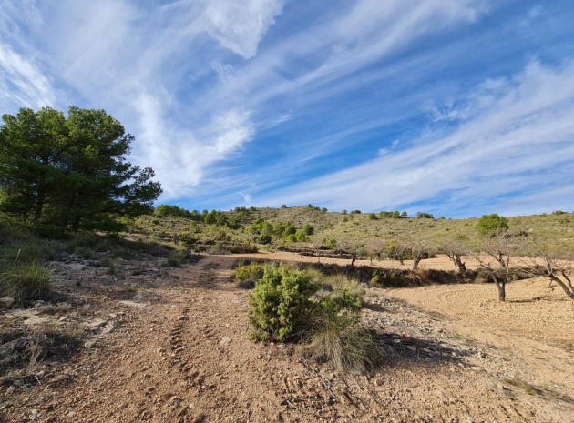 Landa - Återförsäljning - Yecla - Raspay