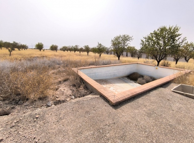 Landa - Återförsäljning - Yecla - Yecla Centro