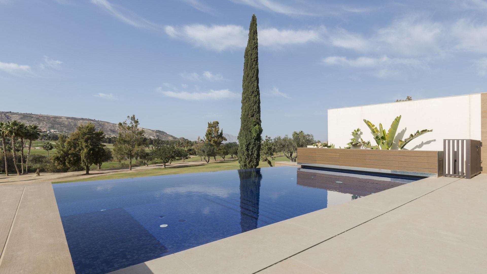 Neubau - Villa - Algorfa - La Finca Golf