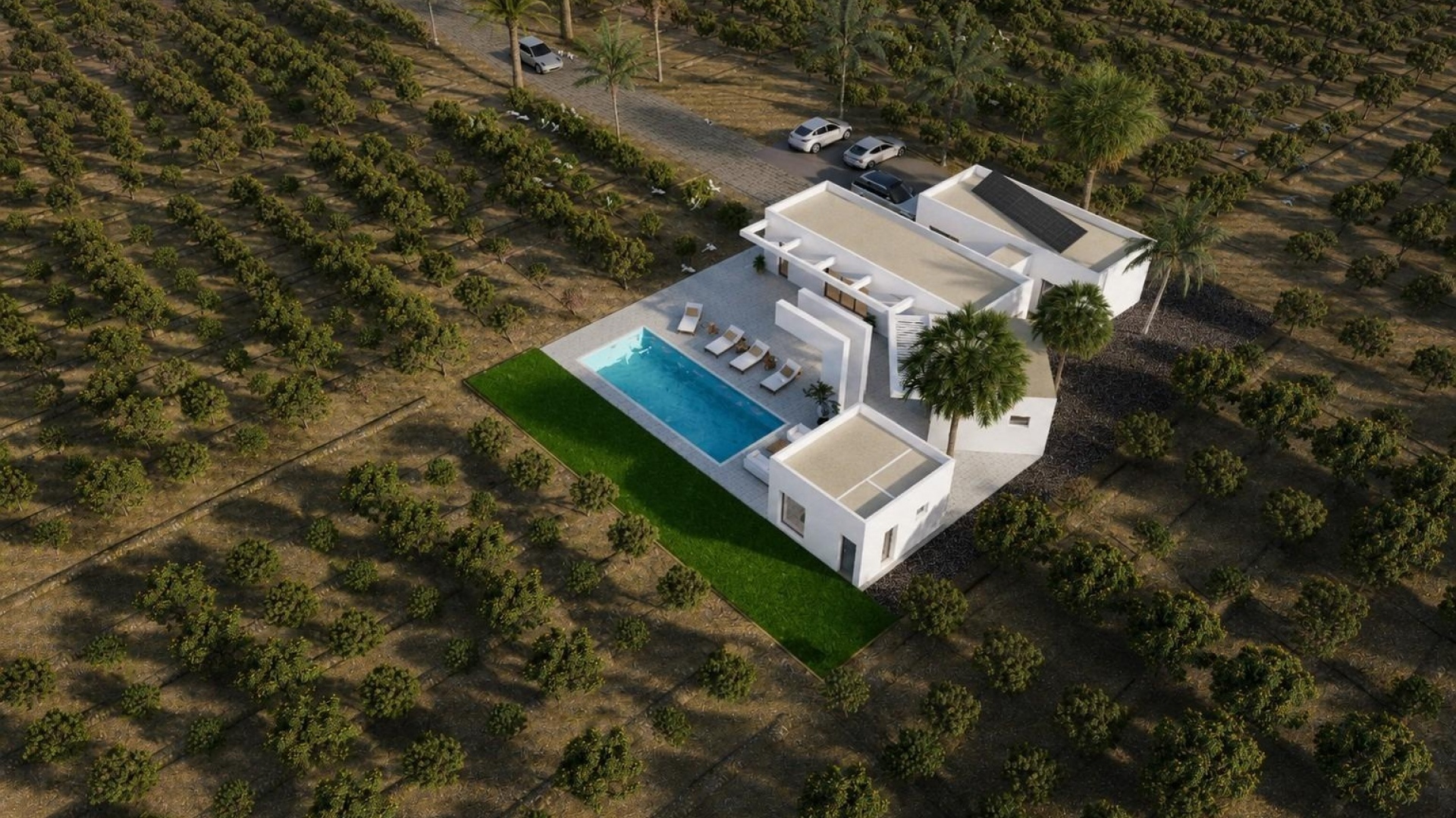 Neubau - Villa - Benejuzar - alta