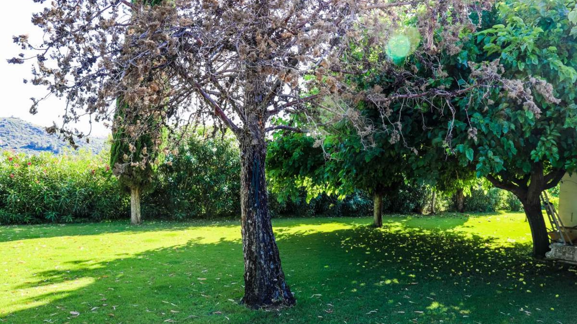 Neubau - Villa - Denia - Jesús Pobre