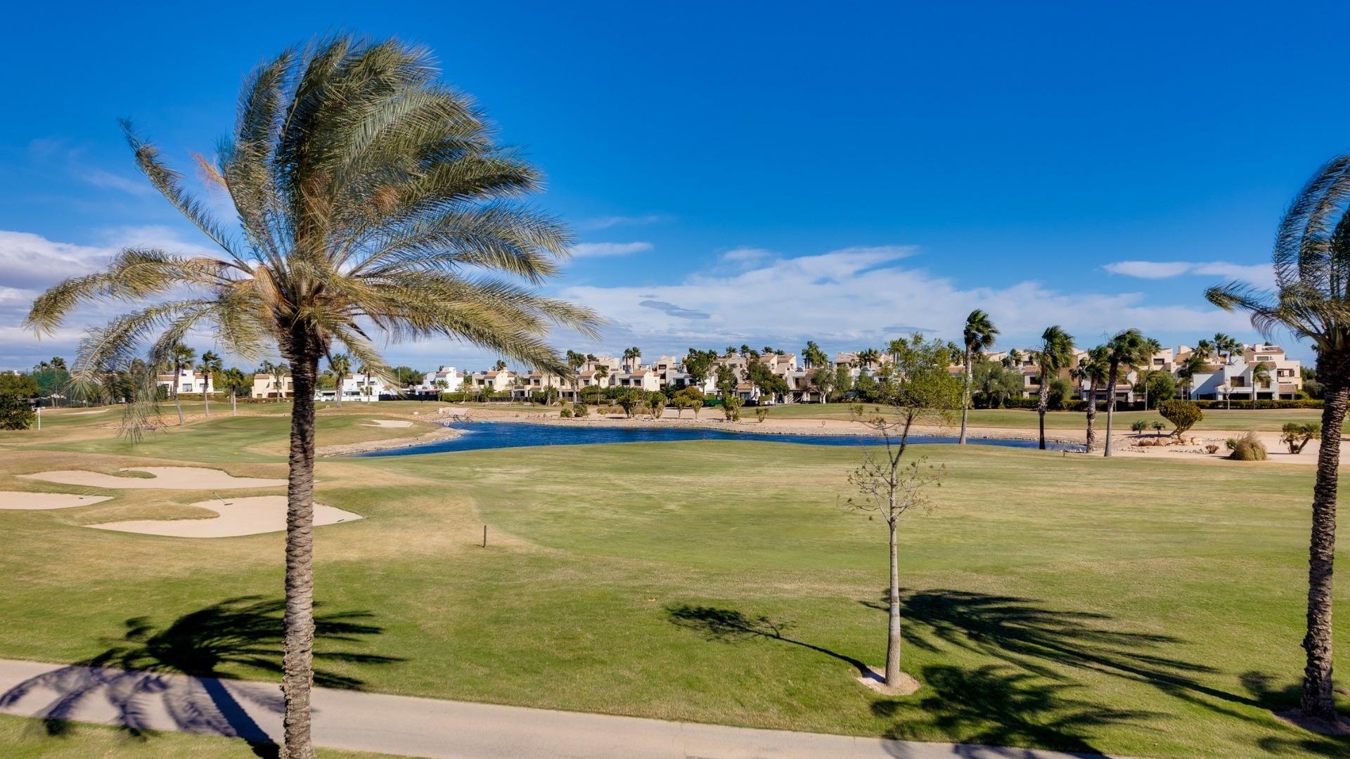 Neubau - Villa - Pilar de la Horadada - Lo Romero Golf