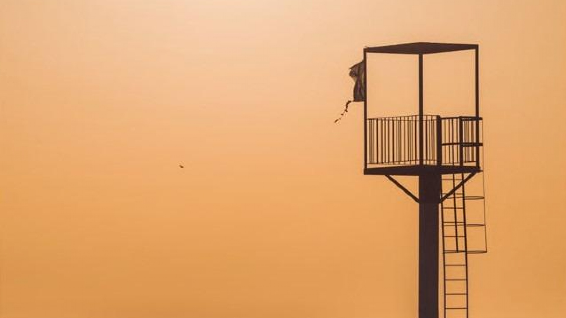 Neubau - Wohnung - Almerimar