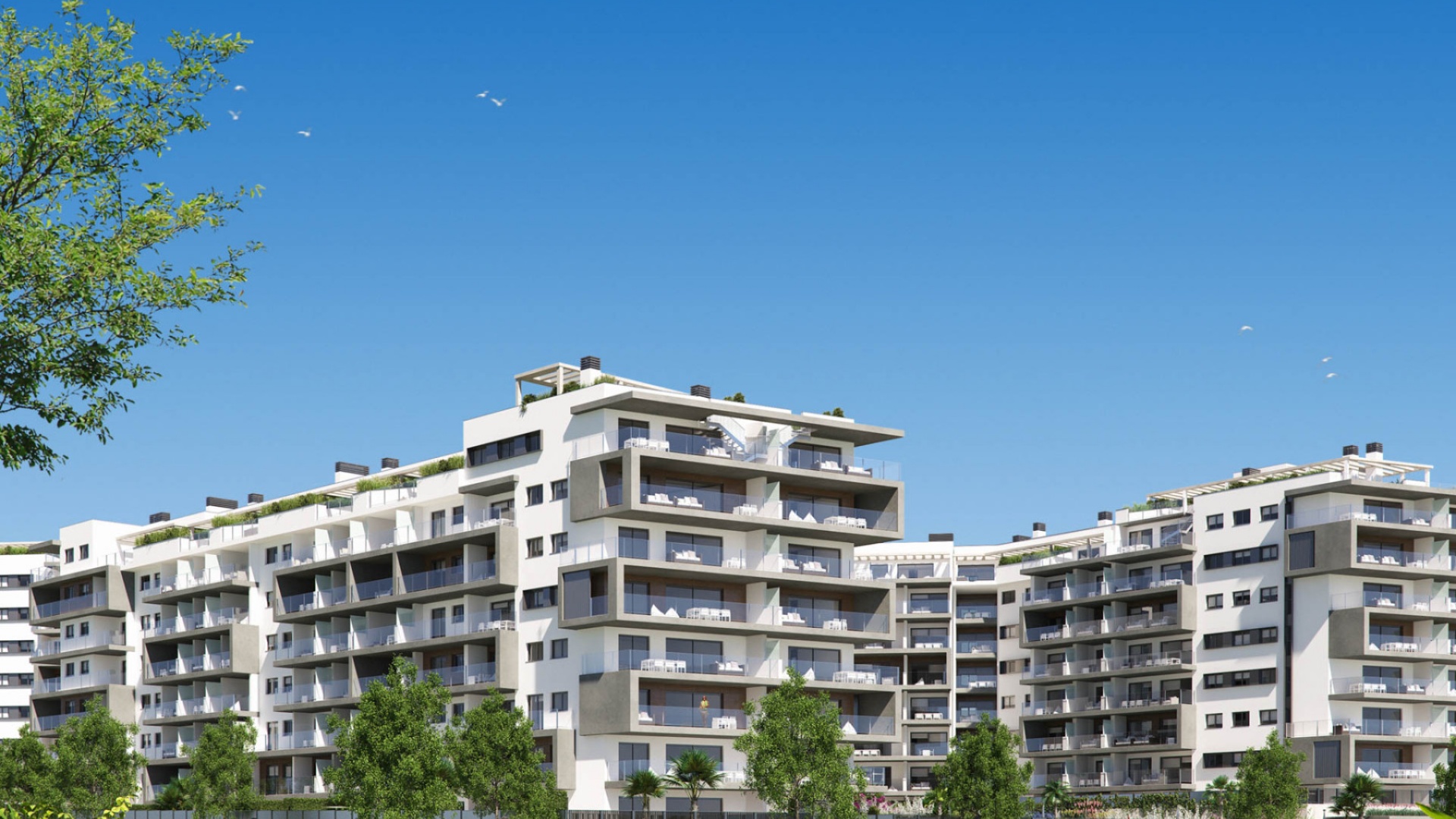 Neubau - Wohnung - Campoamor - Res. Seagardens