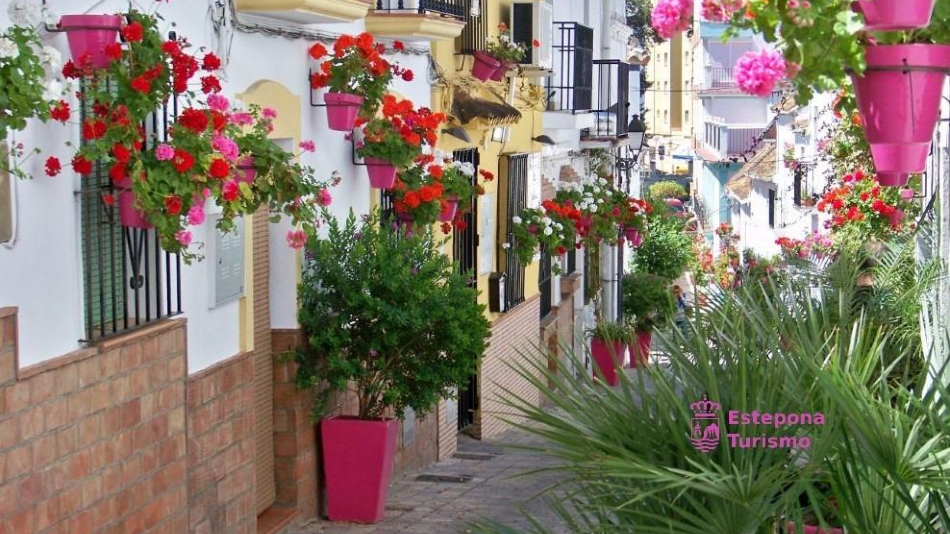 Neubau - Wohnung - Estepona - Parque El Calvario