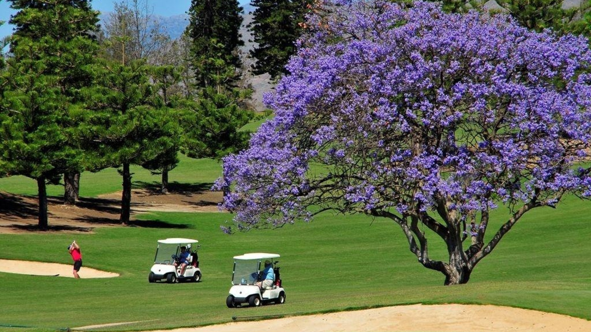 Neubau - Wohnung - Mijas - La Noria Golf