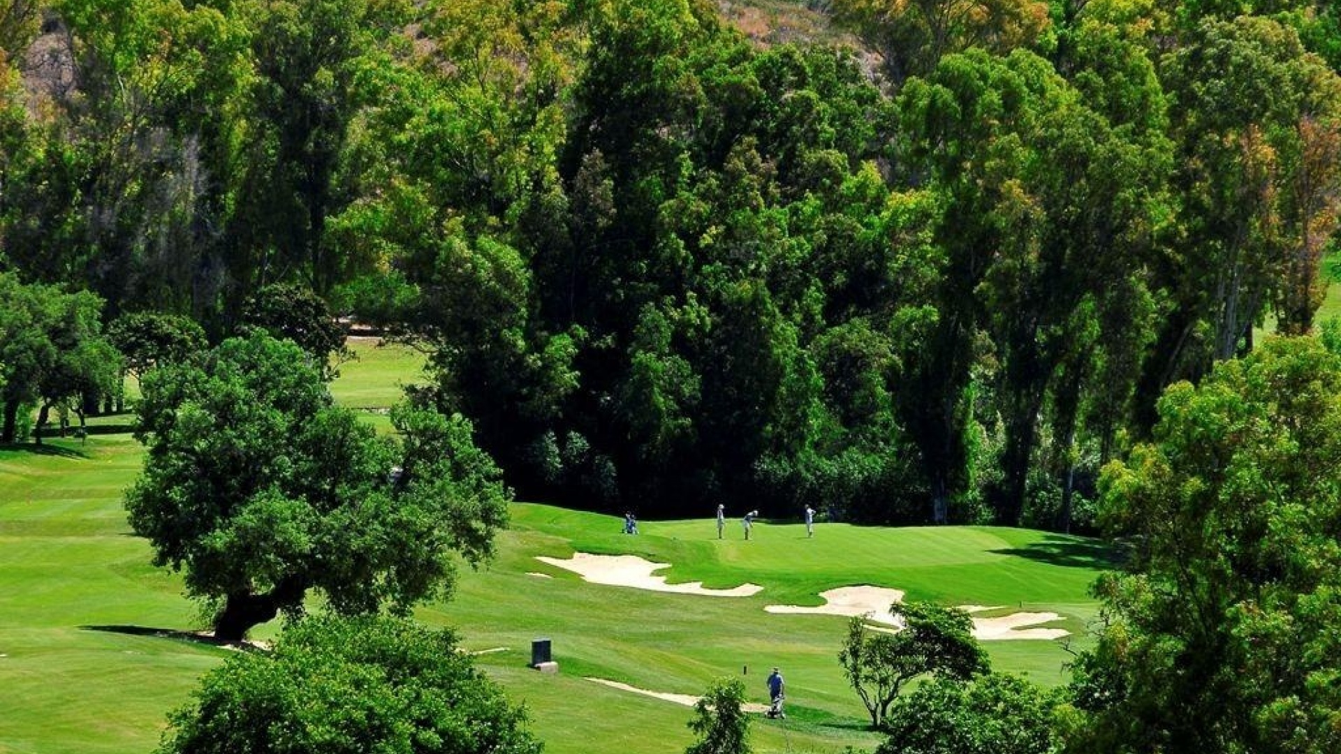 Neubau - Wohnung - Mijas - La Noria Golf