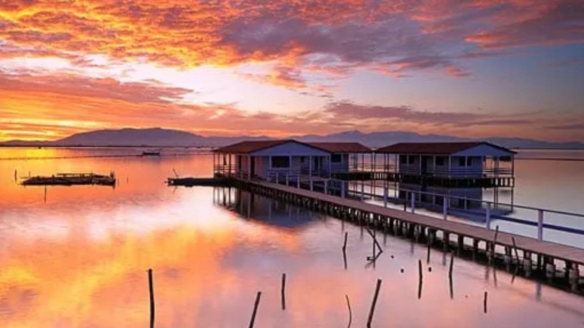 Neubau - Wohnung - San Pedro del Pinatar - Los Pinos