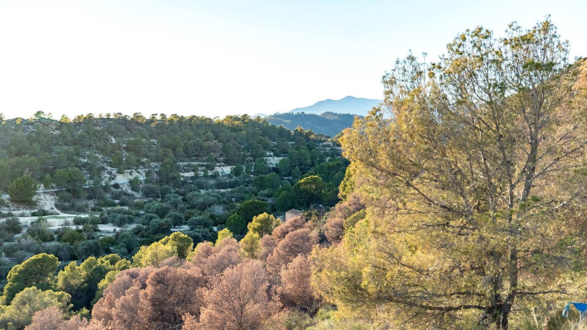 New Build - Apartment - Finestrat - Balcón De Finestrat