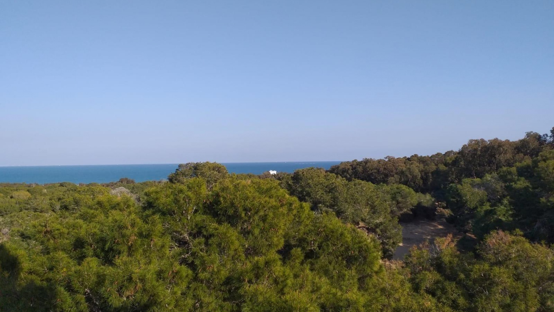 New Build - Apartment - Guardamar del Segura - Pueblo