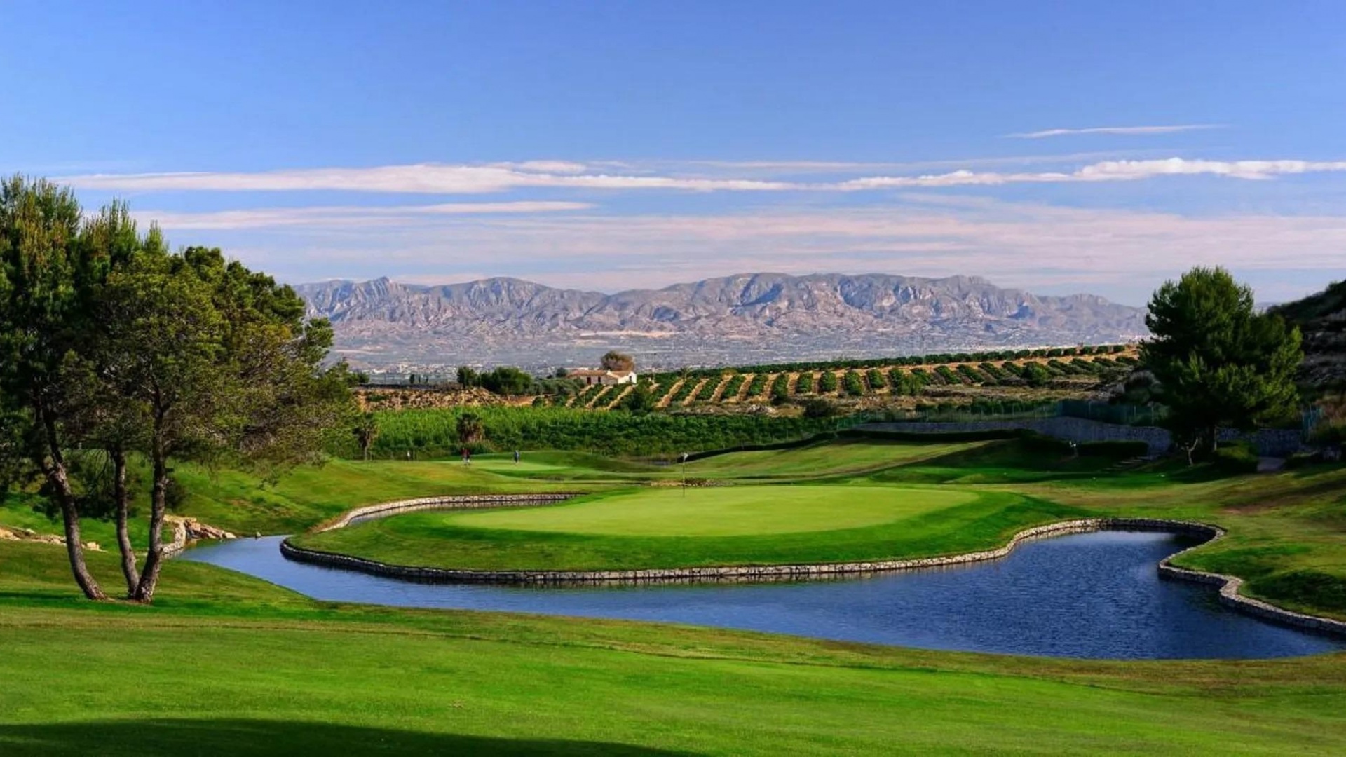 Nieuw gebouw - Bungalow - Algorfa - La Finca Golf