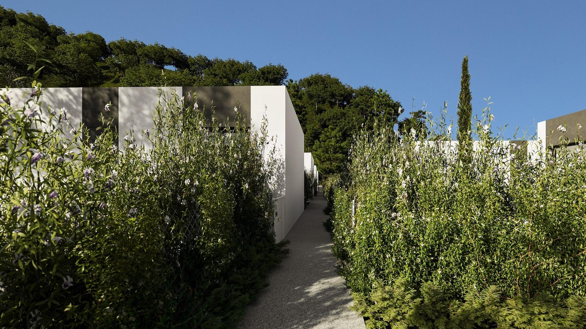 Nieuw gebouw - Villa - Alfas del Pi - Barranc Fondo