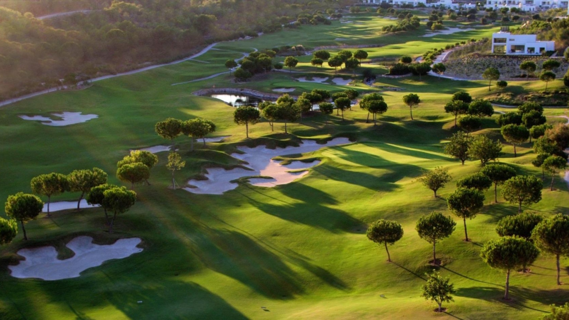 Nieuw gebouw - Villa - Orihuela - Las Colinas Golf