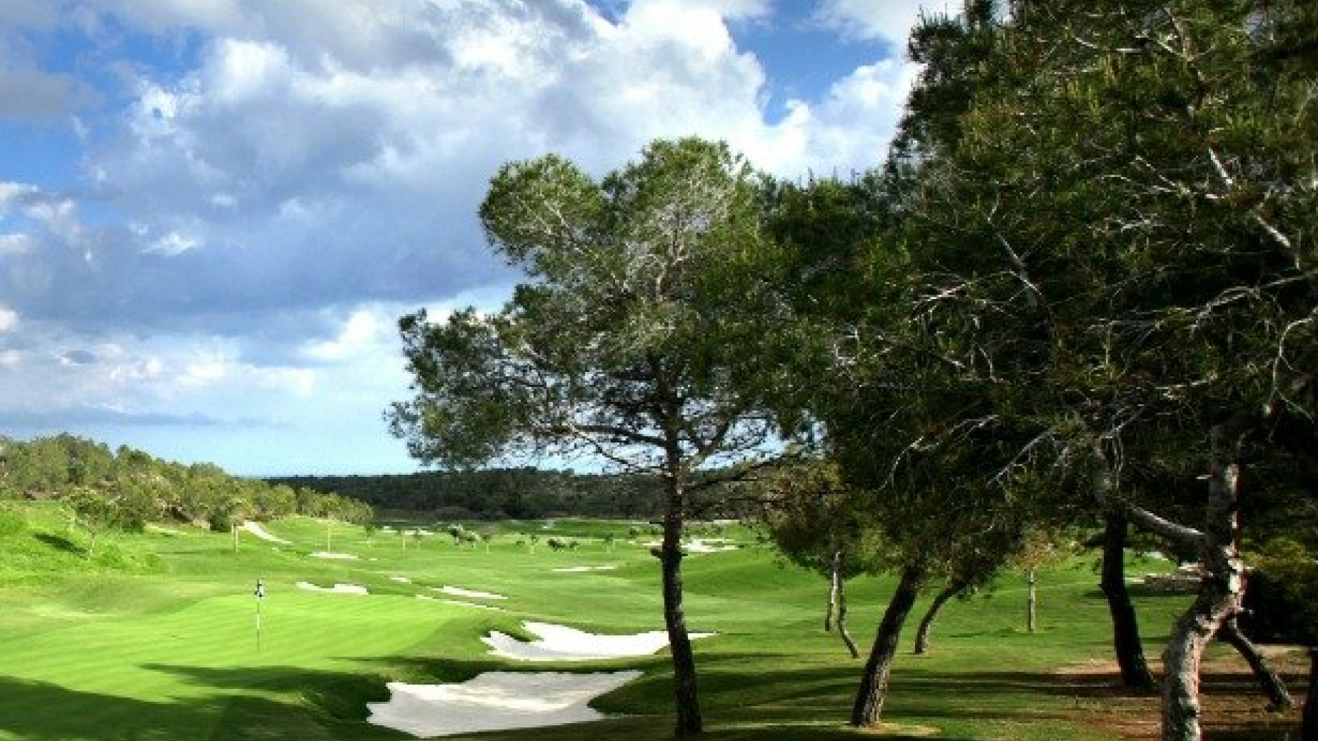 Nieuw gebouw - Villa - Orihuela - Las Colinas Golf