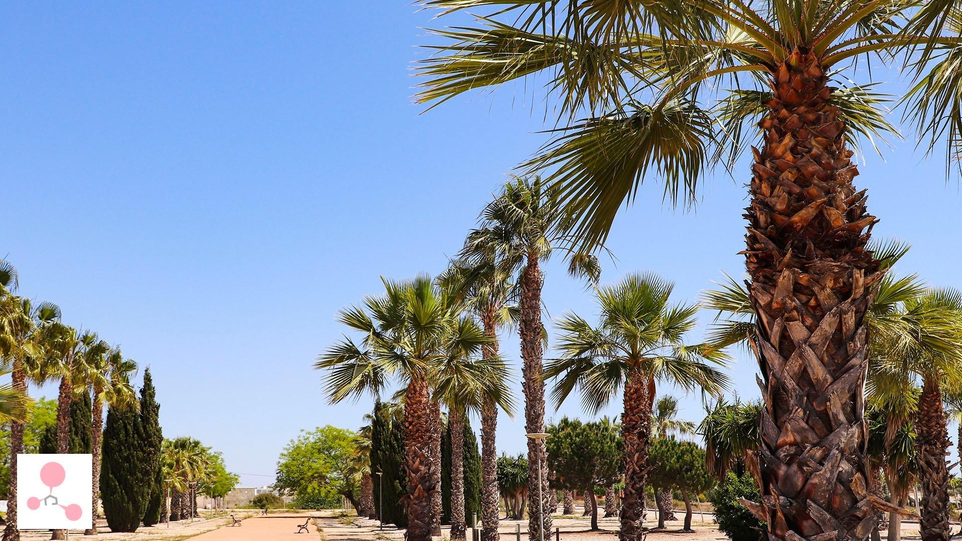 Nieuw gebouw - Villa - San Fulgencio - La Escuera