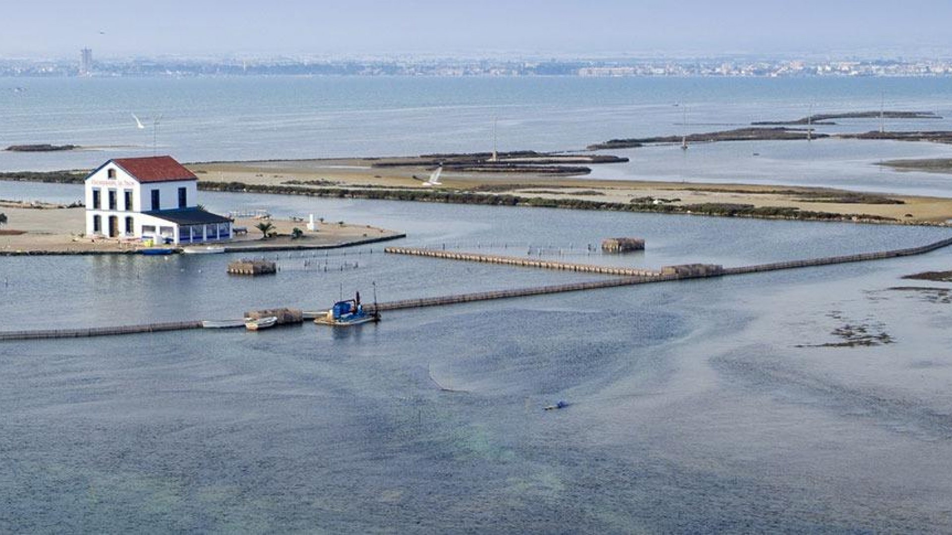 Nieuw gebouw - Villa - San Pedro del Pinatar - Pueblo