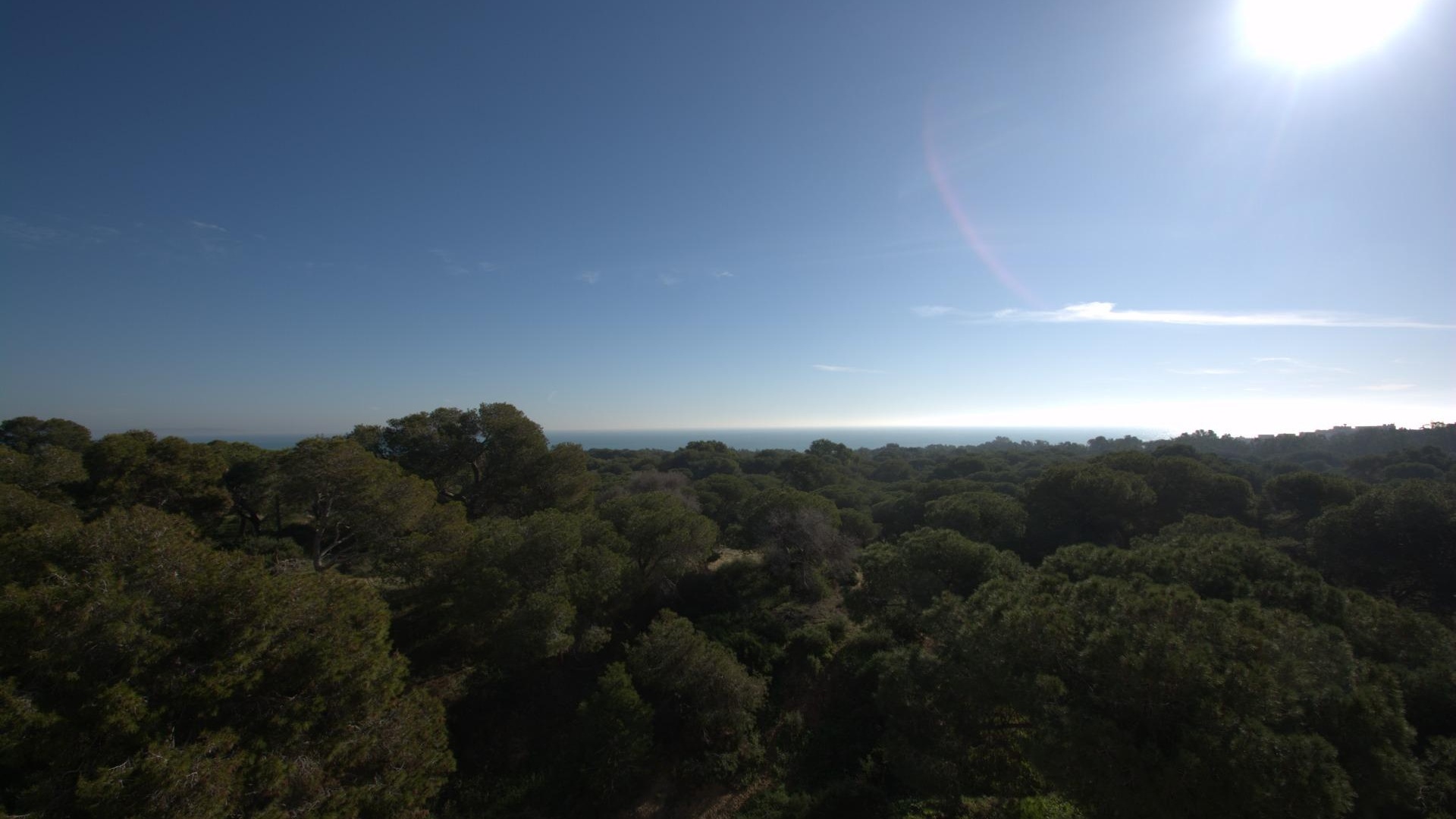 Nouvelle construction - Appartement - Guardamar del Segura - Centro