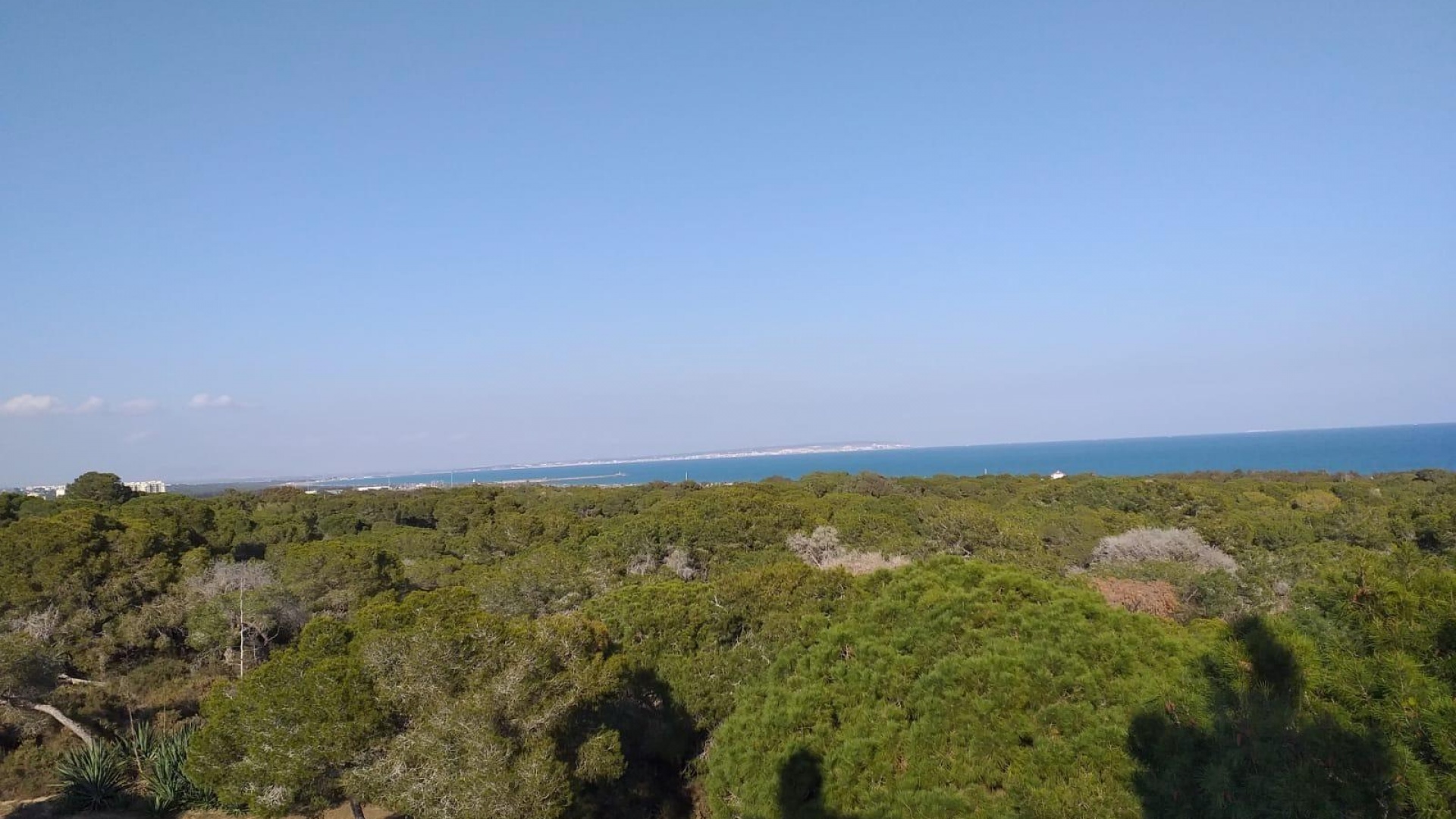 Nouvelle construction - Appartement - Guardamar del Segura - Pueblo