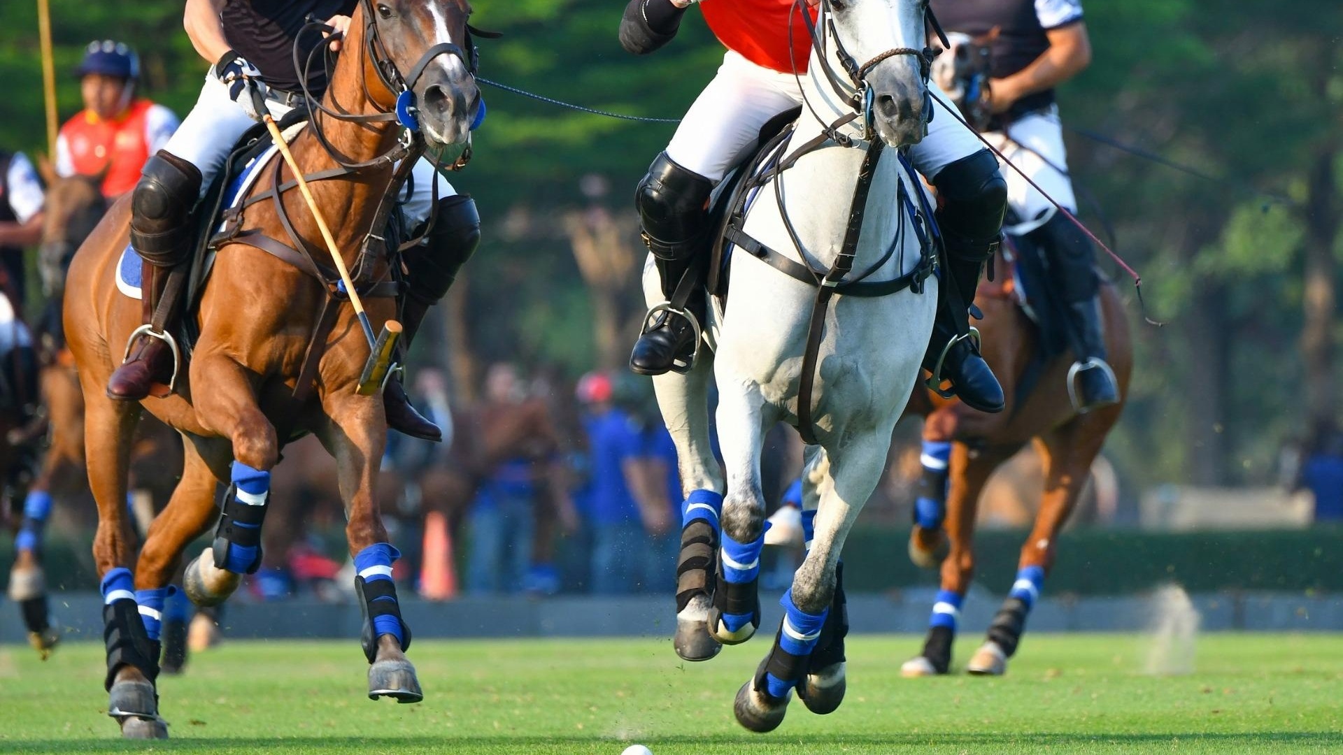 Nouvelle construction - Appartement - Manilva - Bahia De Las Rocas