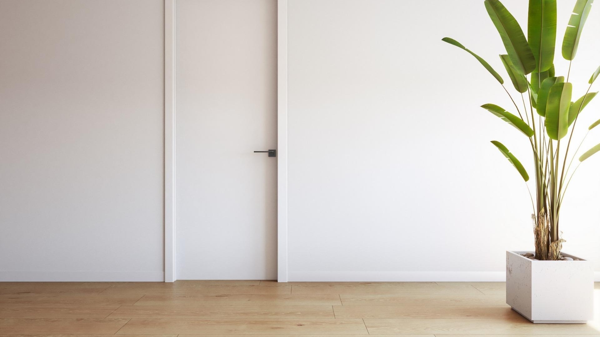Nouvelle construction - Appartement - Torrevieja - Playa de El Cura