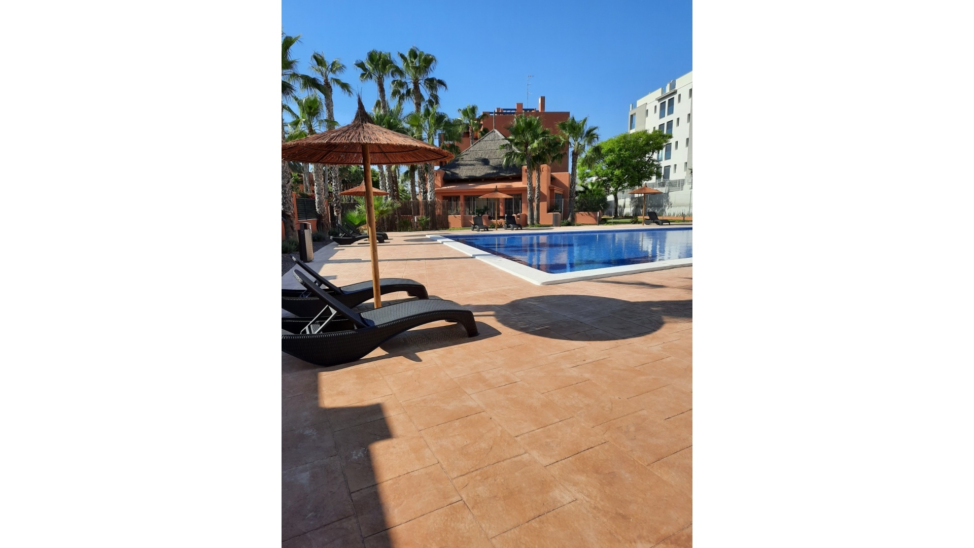 Nouvelle construction - Appartement - Villamartin - Res. Palapa Golf