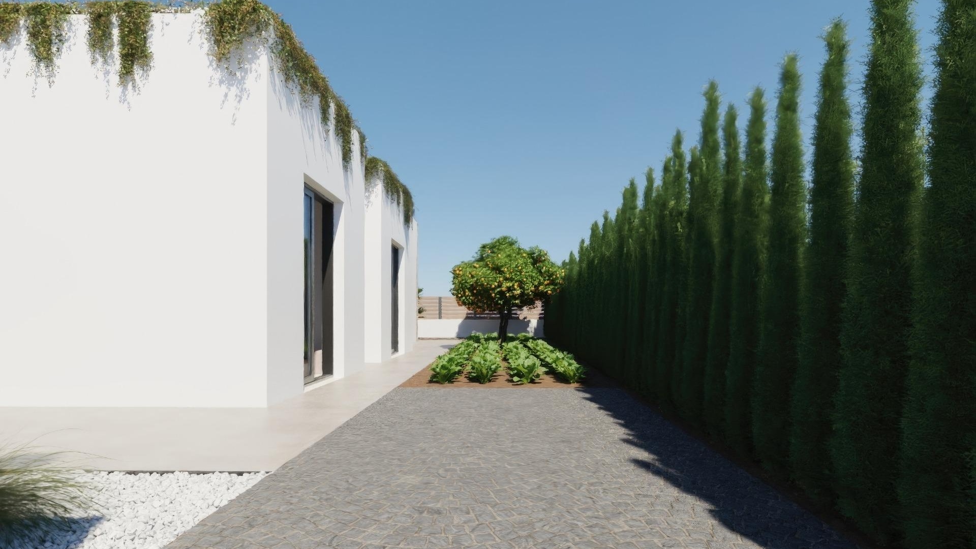 Nouvelle construction - Villa - Fuente Álamo - Hacienda del Alamo