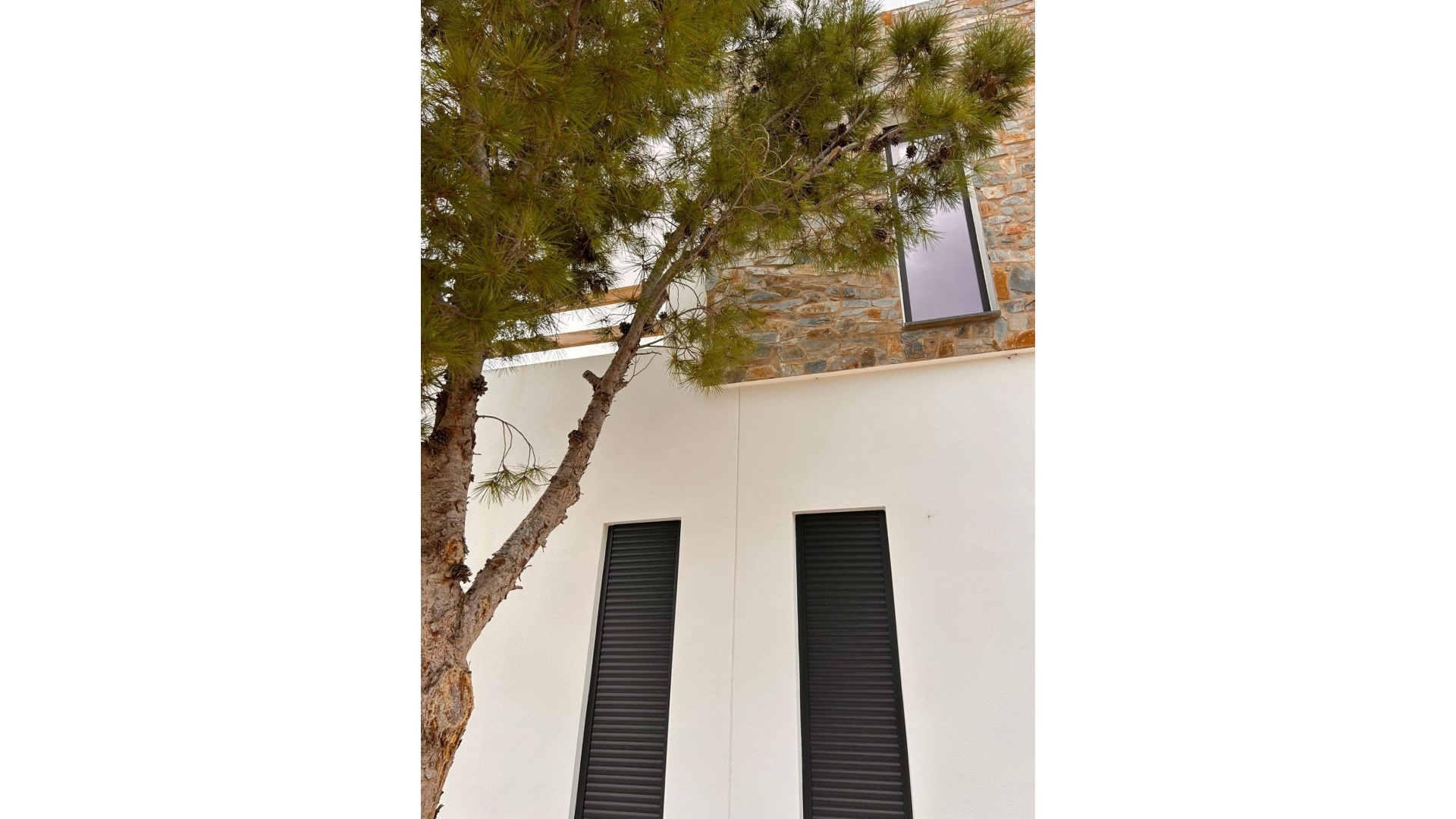 Nouvelle construction - Villa - Pinoso - Comunidad Valenciana
