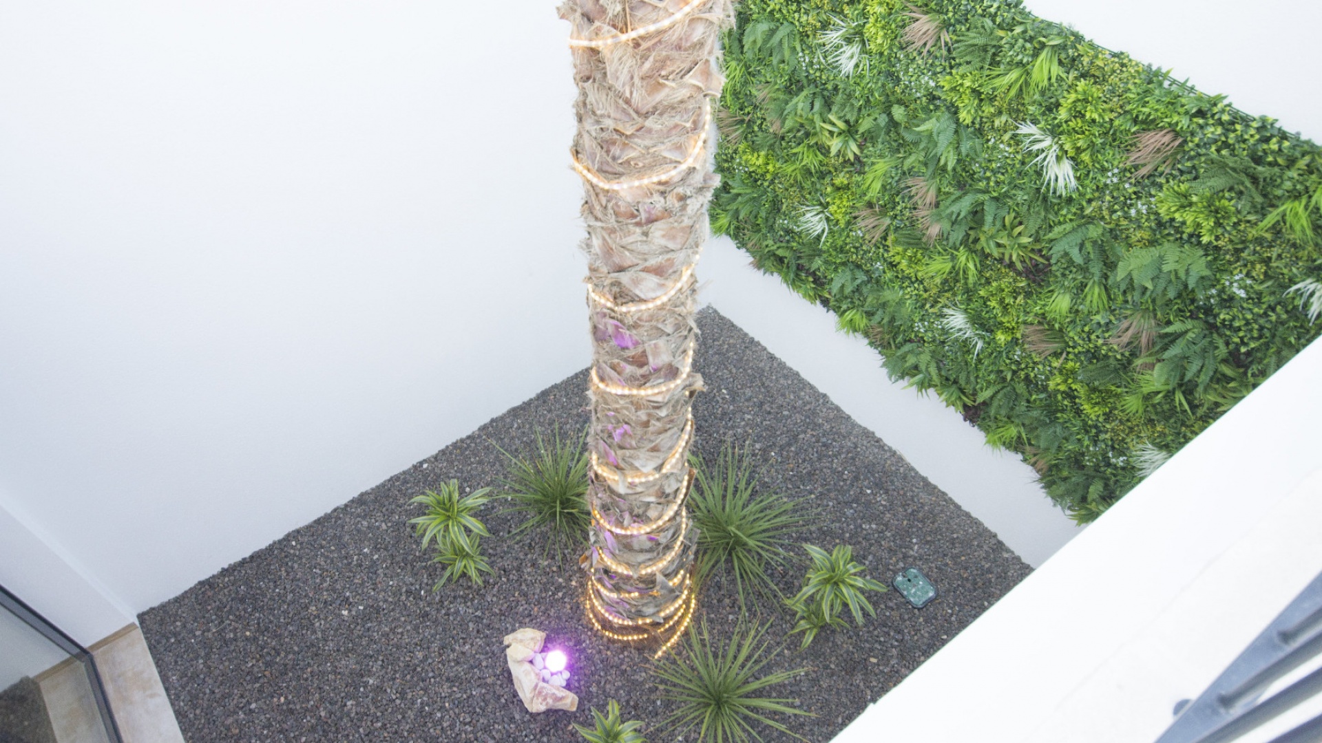 Nouvelle construction - Villa - Rojales - Palma Villas