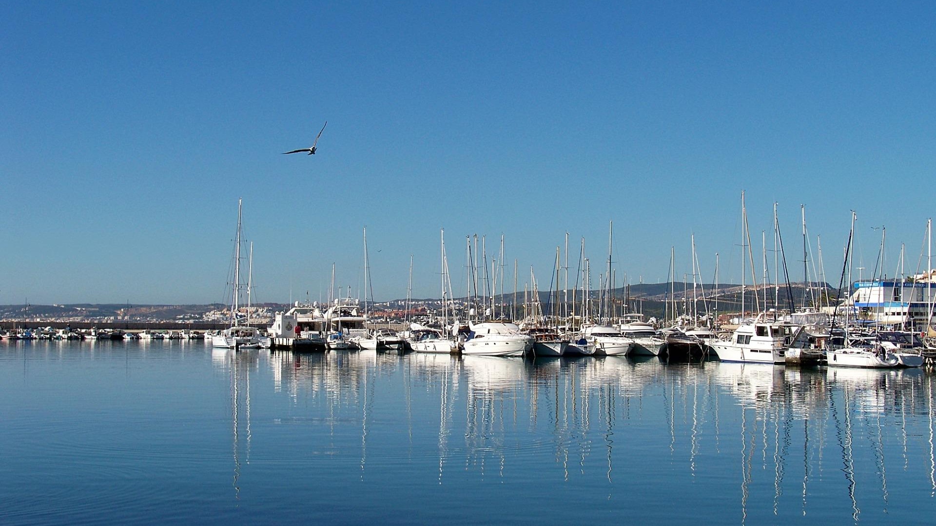 Nybyggnad - Lägenhet - Estepona - Buenas Noches