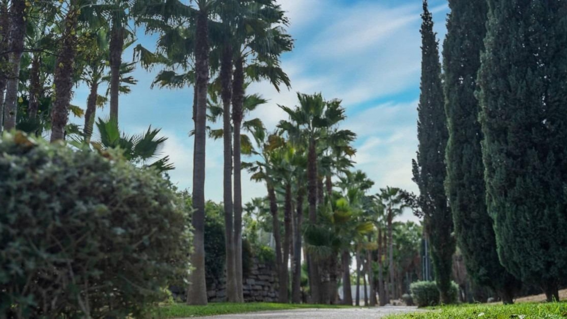 Nybyggnad - Lägenhet - Fuengirola - Higueron