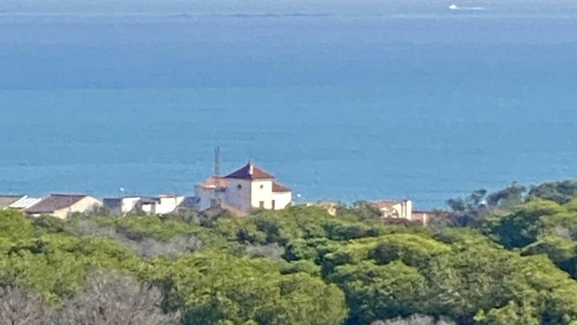 Nybyggnad - Lägenhet - Guardamar del Segura - Centro