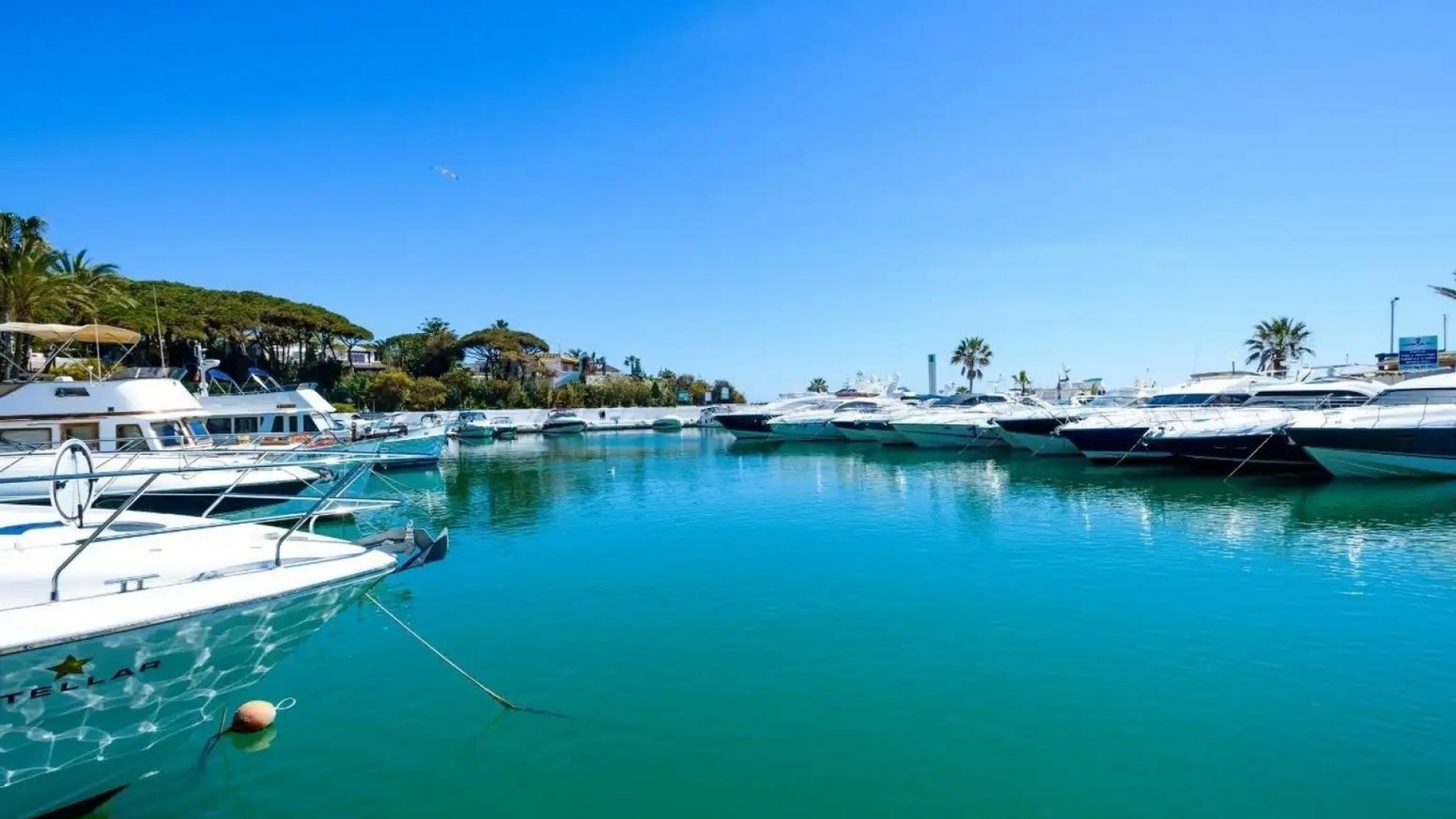 Nybyggnad - Lägenhet - Marbella - Cabopino Golf