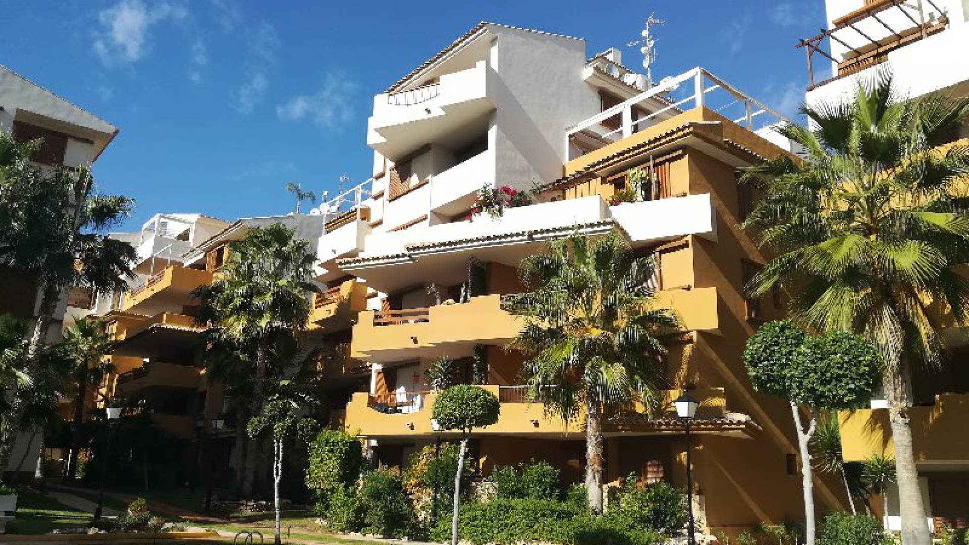 Nybyggnad - Lägenhet - Punta Prima - La Recoleta
