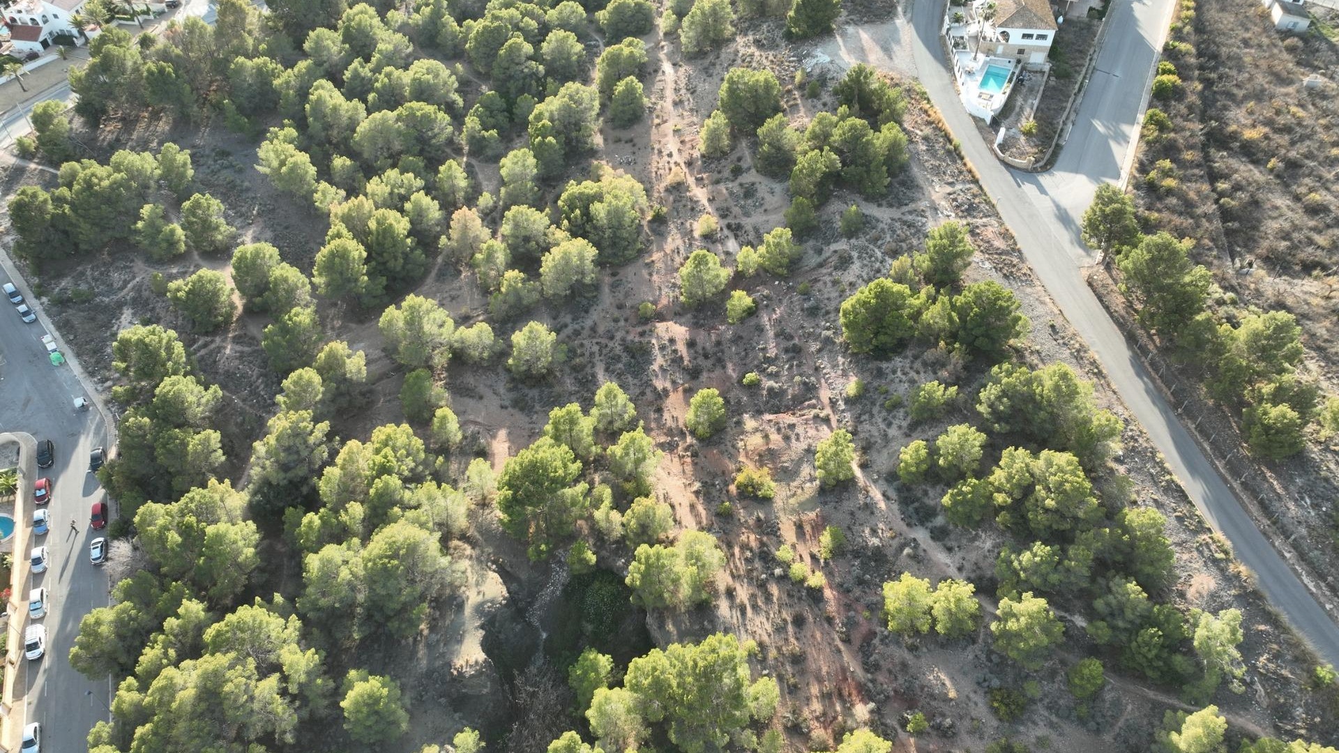 Nybyggnad - Villa - Alfas del Pi - Escandinavia