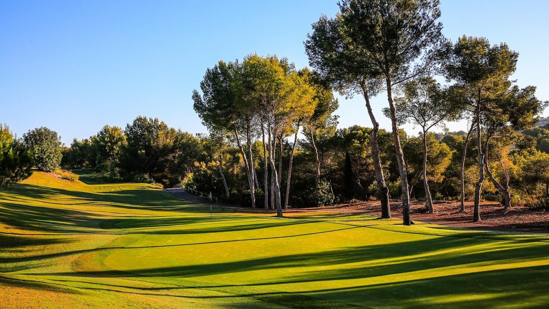 Nybyggnad - Villa - Orihuela - Las Colinas Golf