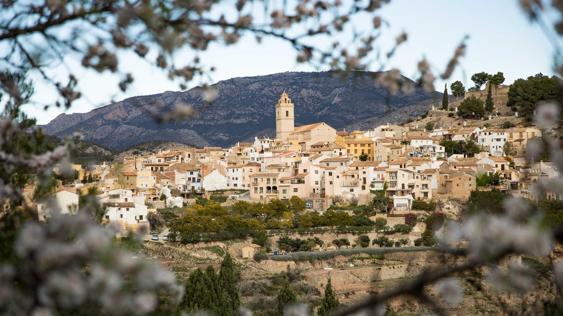 Nybyggnad - Villa - Polop - Polop Hills