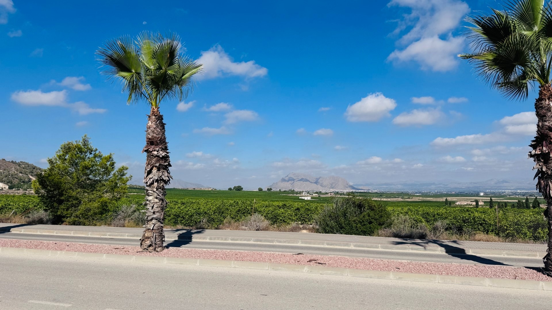 Resale - Apartment - Algorfa - La Finca Golf Resort