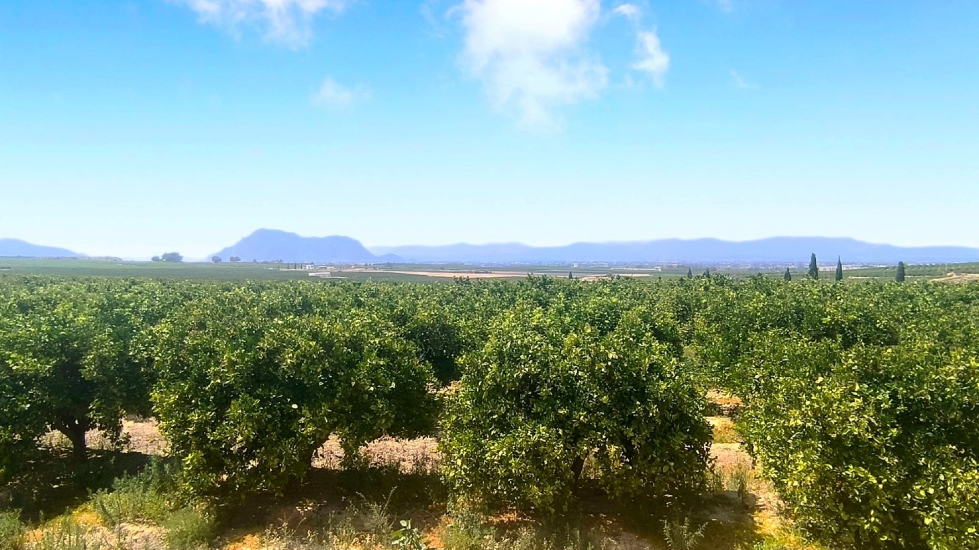Resale - Apartment - Algorfa - La Finca Golf Resort